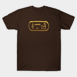 Sister in Ancient Egyptian Hieroglyphics. T-Shirt